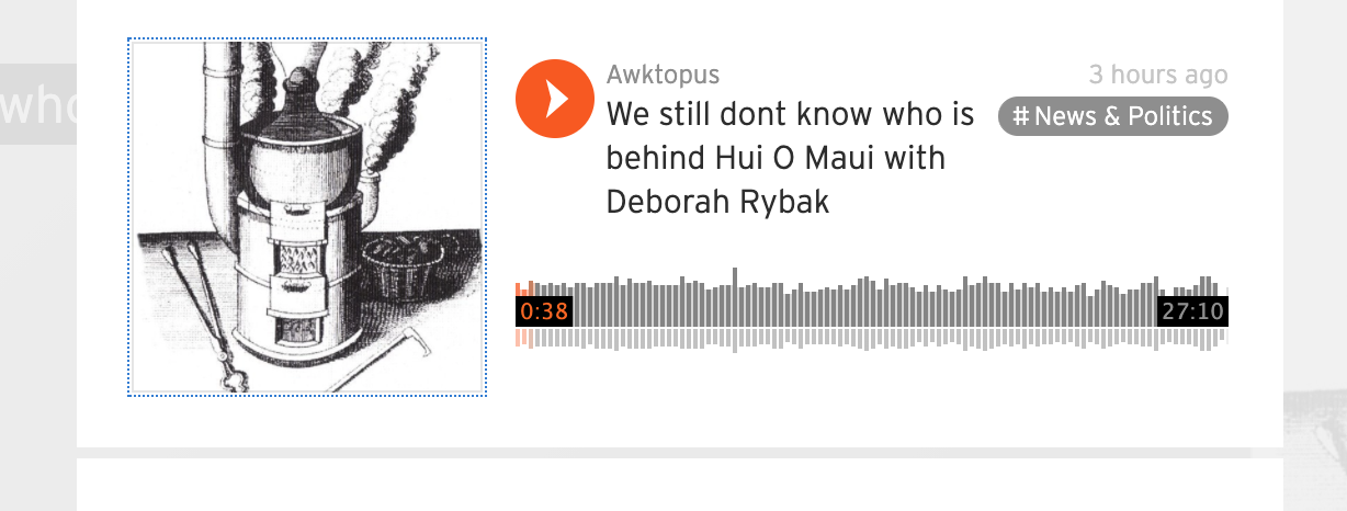We still don’t know who is behind Hui O Maui with Deborah Rybak
