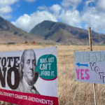 Dark Matter: Meet the newest fake name in Maui politics, Part One