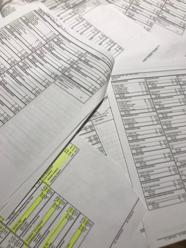 CRUNCHING THE NUMBERS:  Presidential/Council/Charter Amendment Results from Maui County’s 2020 General Election