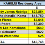 The Headliners: Three Candidates Steal The Thunder in Kahului Race