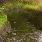 Farm Plan or Lobbying Tool? A Mahi Pono “Farm Plan Narrative” outlines planting scenarios – with and without water. Is it accurate?