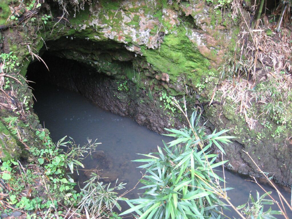 State Democratic Party Opposes ‘Corporate Water Theft’ Bill: Letter tells lawmakers to “halt this bill immediately”