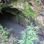 State Democratic Party Opposes ‘Corporate Water Theft’ Bill: Letter tells lawmakers to “halt this bill immediately”