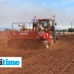 Naughty or Nice? At the one-year anniversary of Mahi Pono’s 56,000-acre Maui ag land grab, questions remain about the company’s ultimate intentions ﻿