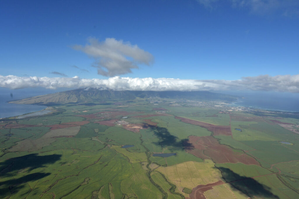 Mahi Pono Purchase Agreement: Lots of legalese with a few tasty nuggets
