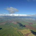 Coffee, Cattle and Citrus, Oh My!!! Mahi Pono makes public its crop plans (and a bit of confusion) to Maui community association leaders