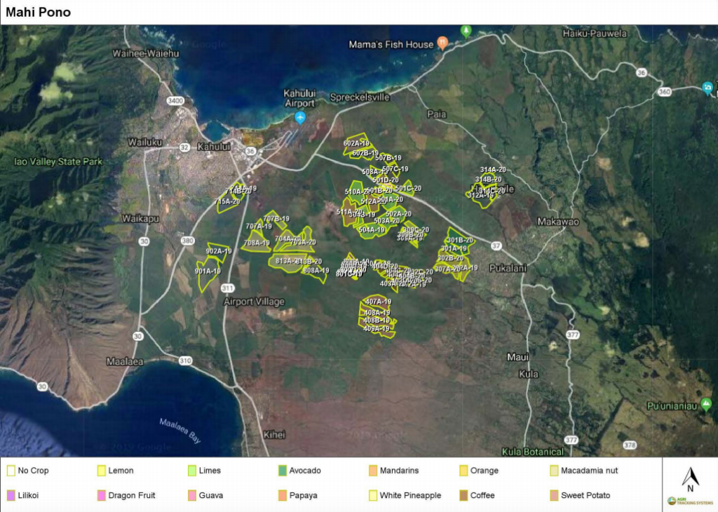 Mahi Pono Plants! Crop plan shows plans for 2019-2020