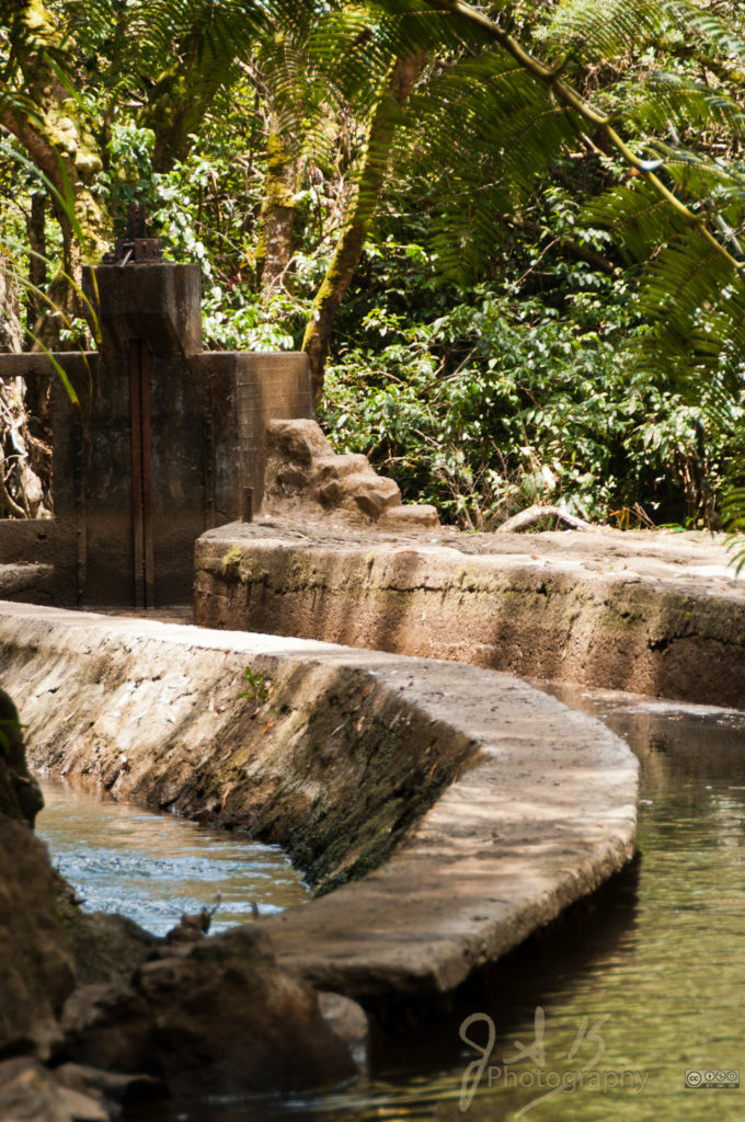 ‘This DEIS Is Deficient’: Sierra Club, Maui Tomorrow, and others weigh in on A&B/Mahi Pono’s Draft Environmental Impact Statement for a 30-year water lease